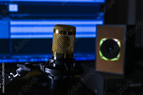 Obraz na płótnie studio dynamic microphone for recording vocals and podcasts
w salonie