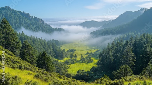 Tranquil cabins in misty mountains under overcast sky during early morning hours
