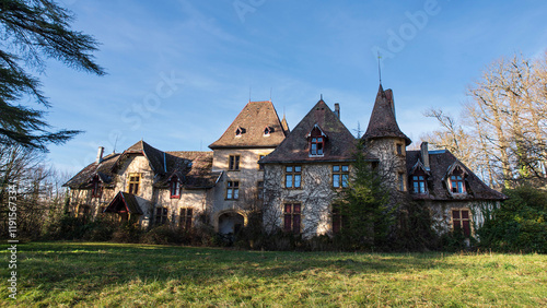 Detail of the abandoned Château de Pierrefitte in the commune of Poil, Nièvre, Burgundy, France
 photo