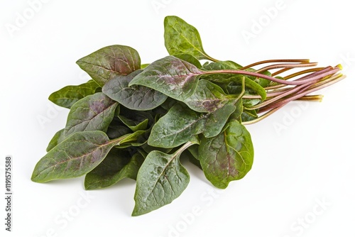 Vibrant Red Spinach, Fresh and Healthy photo