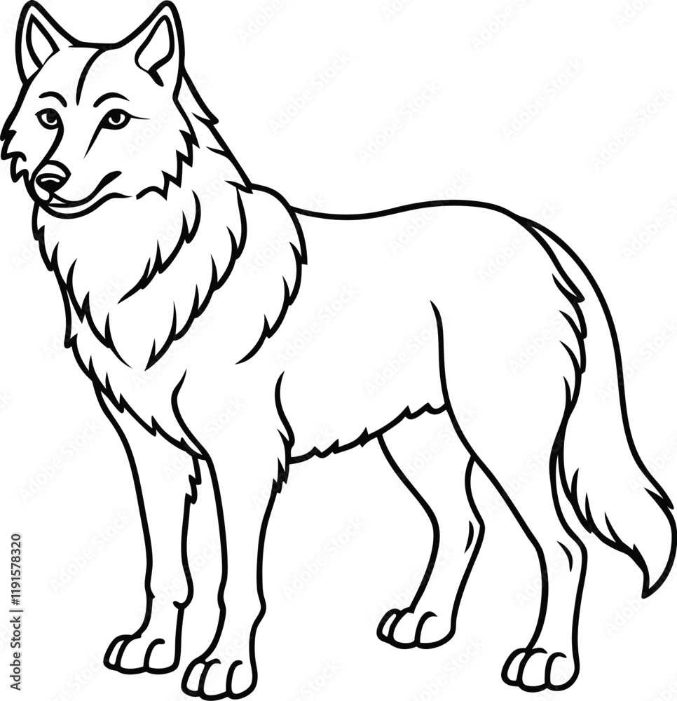 Fototapeta premium Apenninewolf line arts with white background