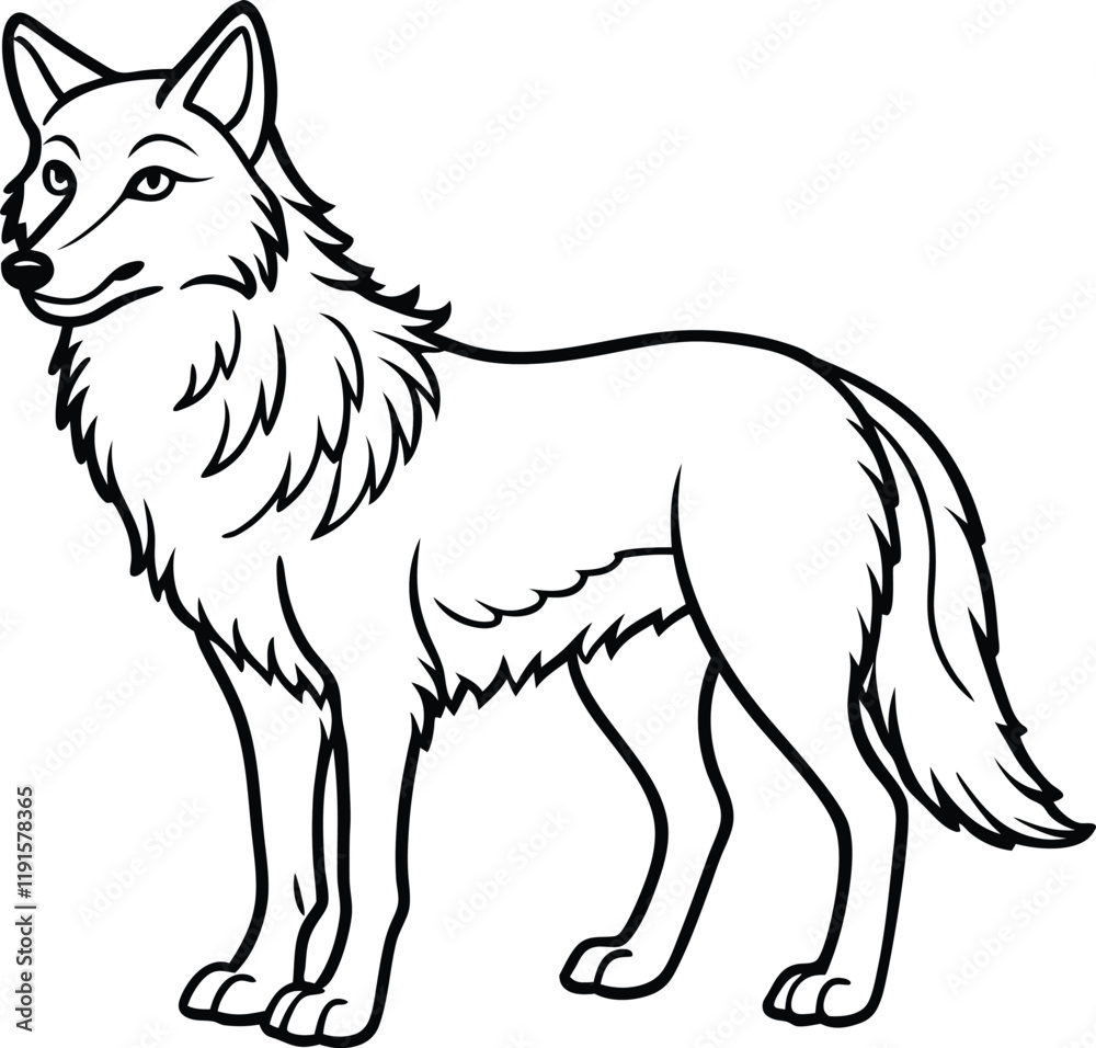 Apenninewolf line arts with white background Apenninewolf line arts with white background