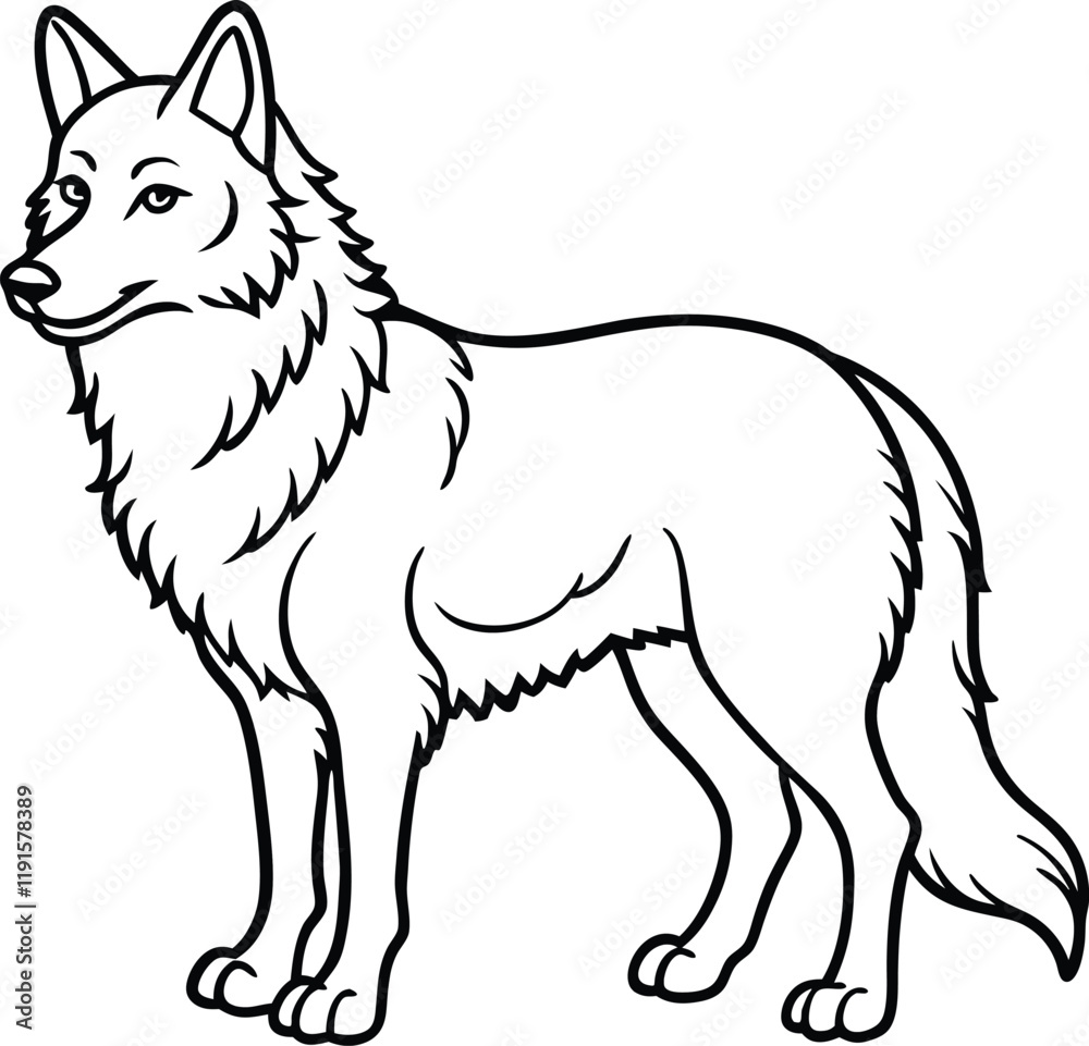 Apenninewolf line arts with white background Apenninewolf line arts with white background