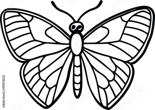 Apple moth  line arts with white background. 