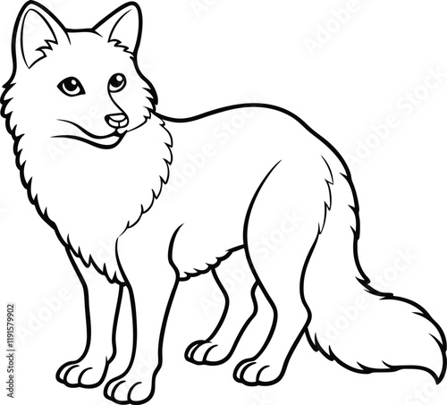 Arctic fox line arts with white background. 