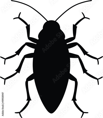 Asian cockroach line arts with white background. Cockroach silhouette, insect roach and bug species, vector. Biology or zoology and pest animal creatures, American