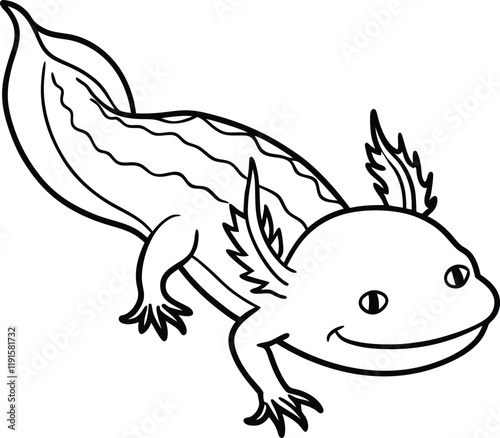 Axolotl line arts with white background . Vector antique engraving illustration of axolotl salamander isolated on white background