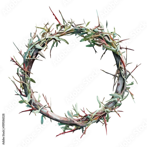 A watercolor illustration of a crown of thorns plant, isolated on a white background. Crown of thorns vector.
