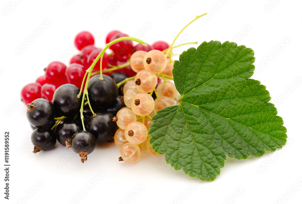 Black, yellow and red currants isolated.