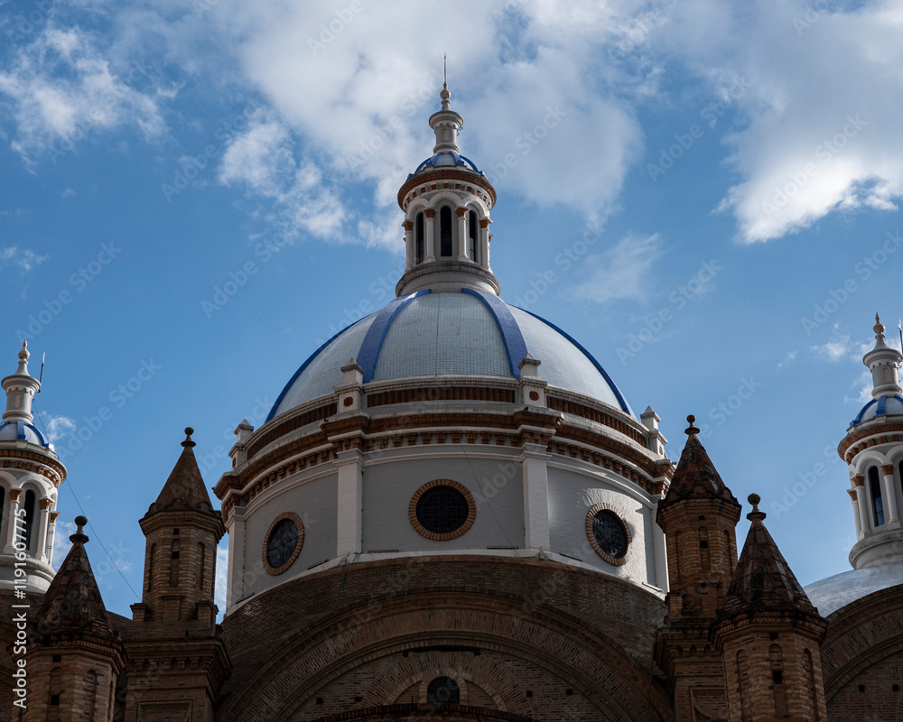 Obraz premium Catedral de la Inmaculada Concepción