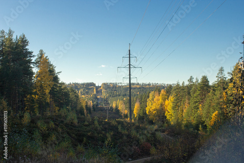 Scenic autumn landscape with dirt road leading through forest filled with vibrant fall foliage. Power lines stretch across the clear sky, blending nature with infrastructure in peaceful rural setting.