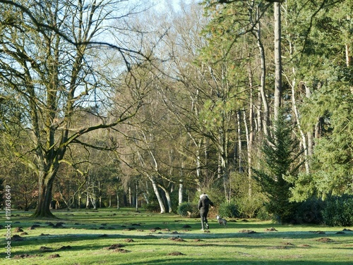 Weg mit Kiefern durch den Stadtpark Hamburg photo