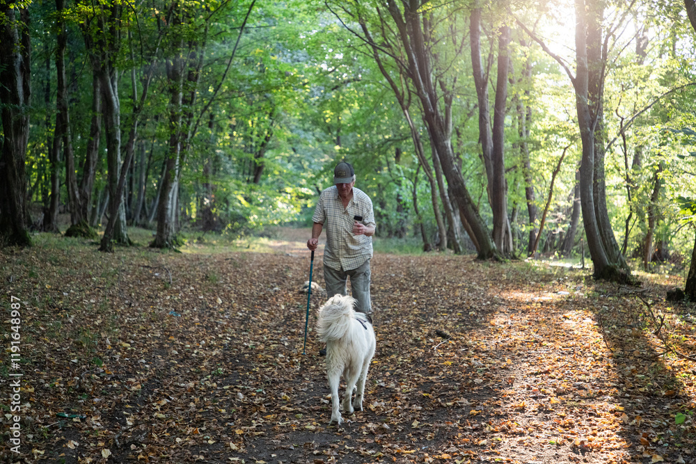 happy white dog playing in spring forest happy white dog playing in spring forest