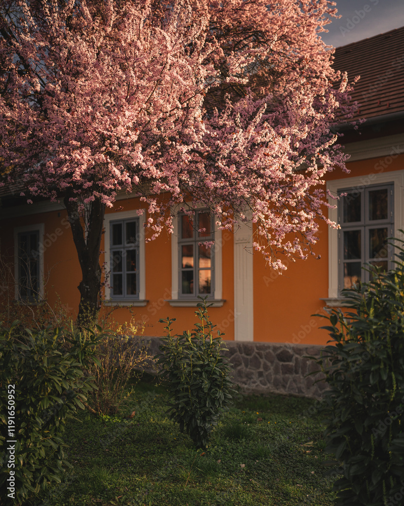 Traditional Hungarian houses in Visegrád, Hungary