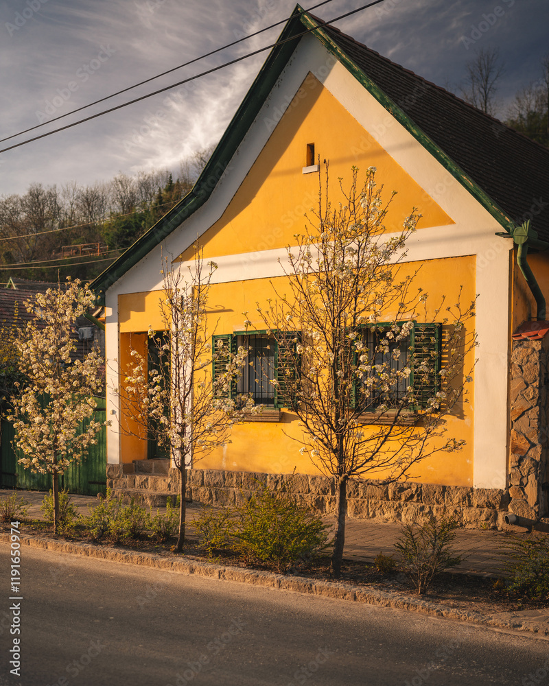 Traditional Hungarian houses in Visegrád, Hungary