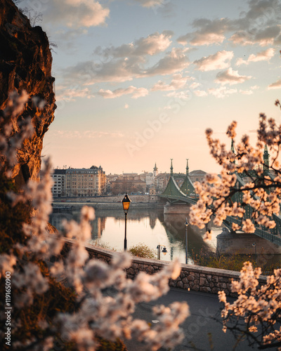 Beautiful Liberty Bridge with almond blossom in Budapest, Hungary