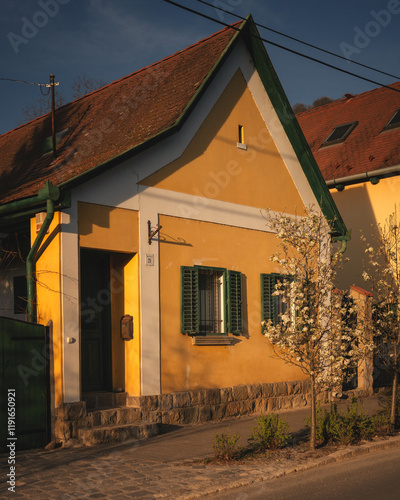 Obraz na płótnie Traditional Hungarian houses in Visegrád, Hungary w salonie
