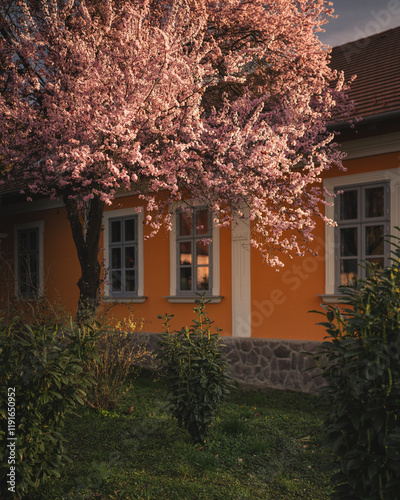 Obraz na płótnie Traditional Hungarian houses in Visegrád, Hungary w salonie