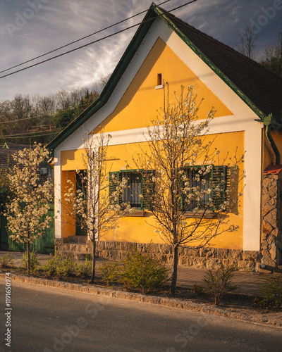Obraz na płótnie Traditional Hungarian houses in Visegrád, Hungary w salonie