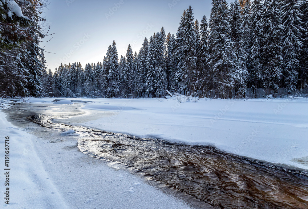 Snowy fir-trees in forest and river in winter. Beautiful landscape. Composition of nature. Karelia, Russia.