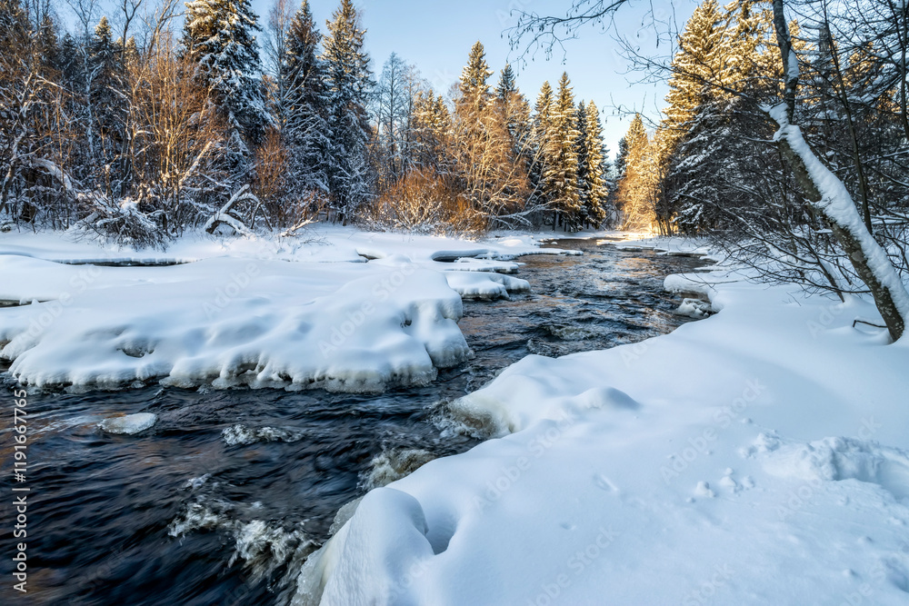 Snowy fir-trees in forest and river in winter. Beautiful landscape. Composition of nature. Karelia, Russia.