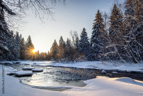 Obraz na płótnie Snowy fir-trees in forest and river in winter. Beautiful landscape. Composition of nature. Karelia, Russia. w salonie