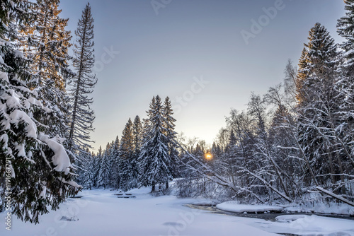 Obraz na płótnie Snowy fir-trees in forest and river in winter. Beautiful landscape. Composition of nature. Karelia, Russia. w salonie