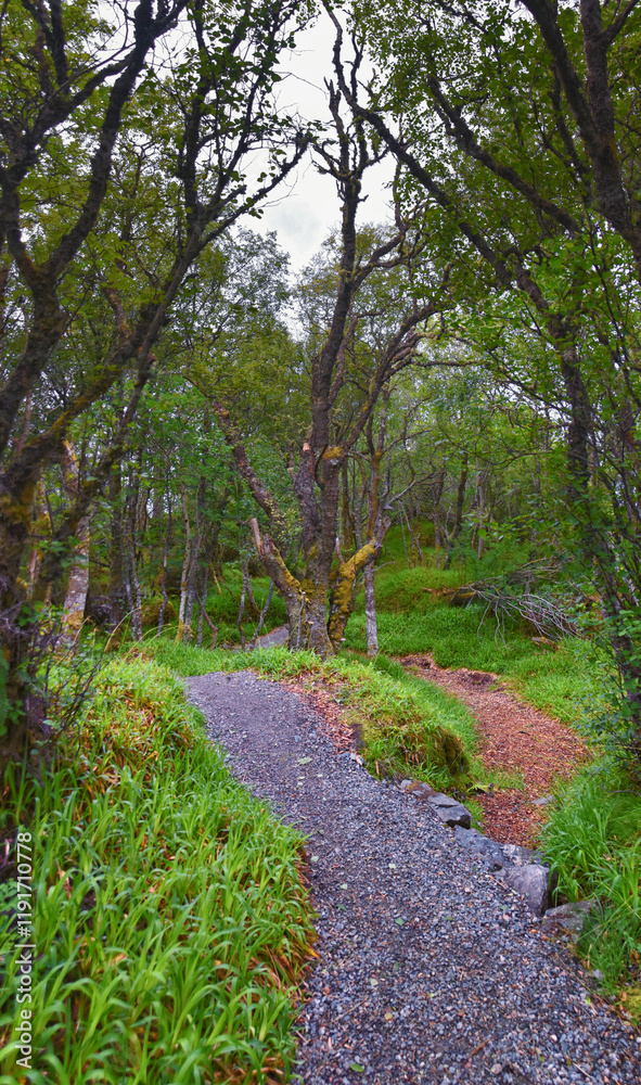 Aselund hiking from Sukkertoppen, The Sugar Top trail views, coast and fjord, World War Bunkers, Norway, Scandinavia Europe. Aselund hiking from Sukkertoppen, The Sugar Top trail views, coast and fjord, World War Bunkers, Norway, Scandinavia Europe.