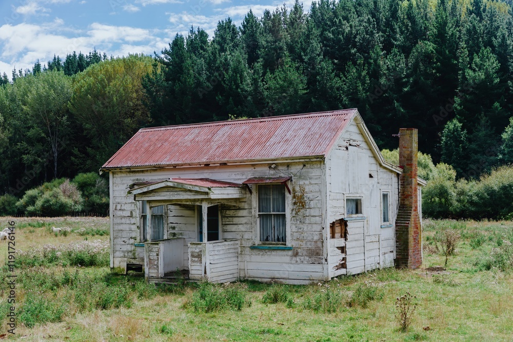 Fototapeta premium Faded white house with red tin roof, surrounded by trees and sheep in a grassy field. A weathered, abandoned home. , HUNTERVILLE, MANAWATU-WANGANUI, NEW ZEALAND