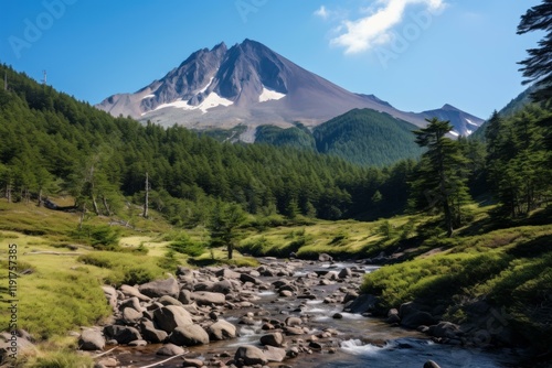 Pristine river flows through a vibrant green valley, leading the eye towards a majestic mountain peak under a clear blue sky photo