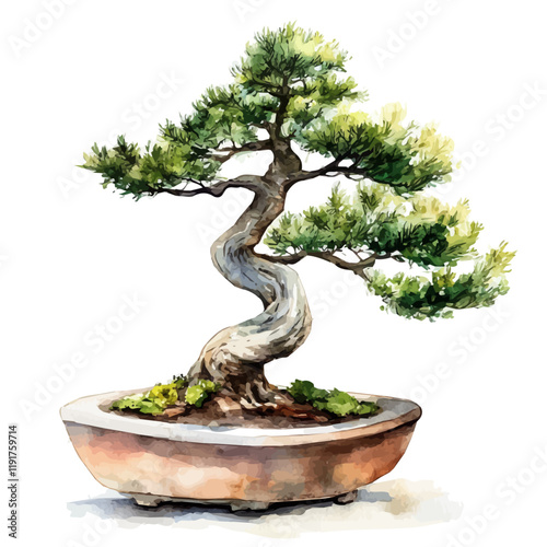 A watercolor painting of a cedar bonsai, isolated on a white background. Cedar Bonsai vector.
