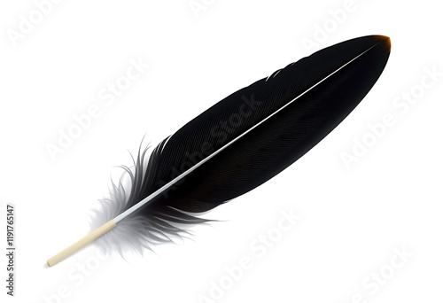 Single Black Bird Feather Detailed Quill Isolated White Background photo