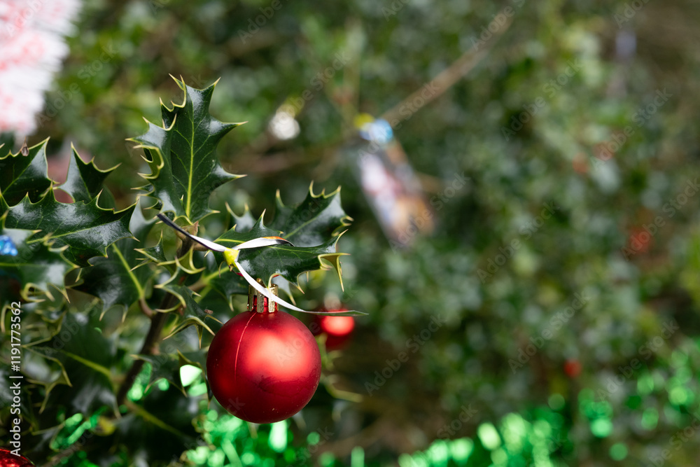 Obraz premium Holly tree and bauble