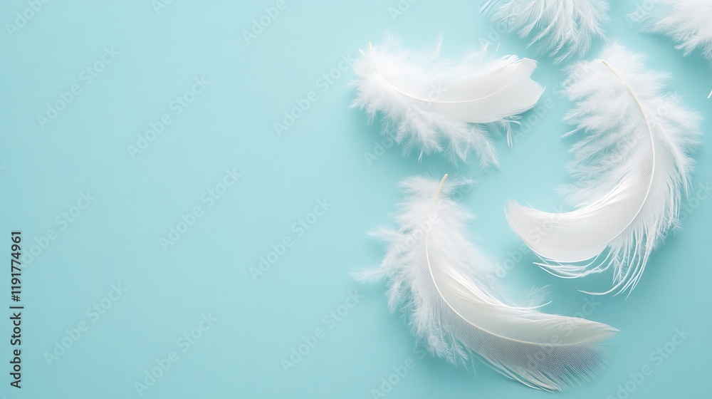 Obraz premium White Feathers Against A Light Blue Background