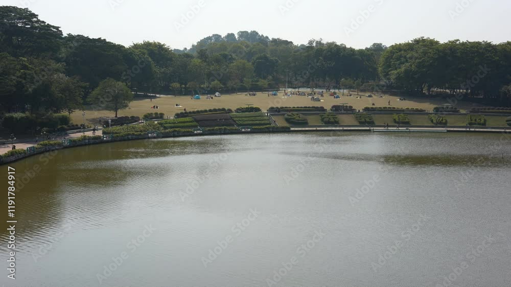 The sun shines on the lake in Dongguan Botanical Garden, reflecting the fallen cypress The sun shines on the lake in Dongguan Botanical Garden, reflecting the fallen cypress