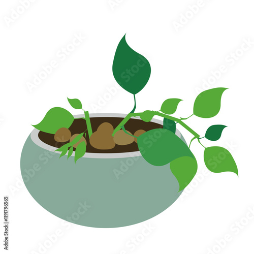 Botanical Potted Plant Icon Illustration Symbol