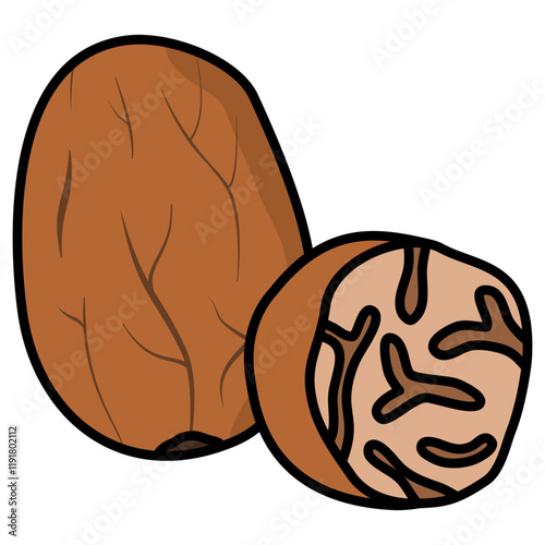 illustration of nutmeg