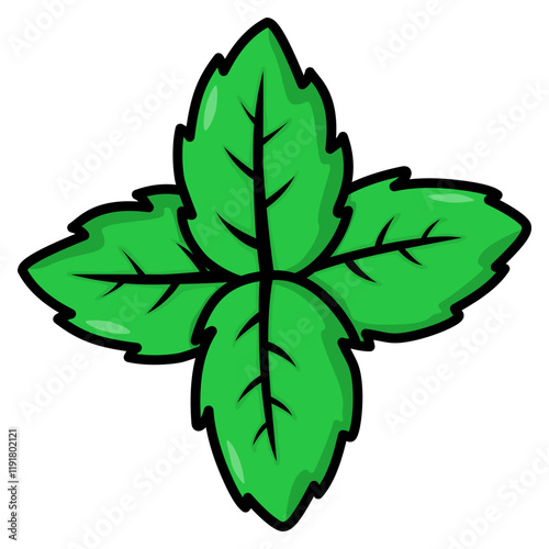 illustration of mint leaf 