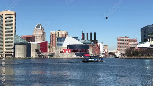 Baltimore Inner Harbor water taxi   photo