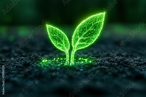 Neon Green Leaf Growing from Ground photo