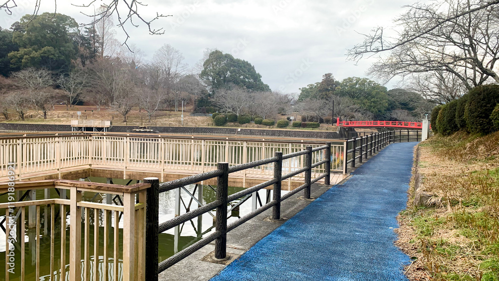 冬の甘木公園 冬の甘木公園