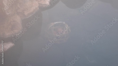 Eggs in a woven bamboo basket are being boiled in natural hot spring water.