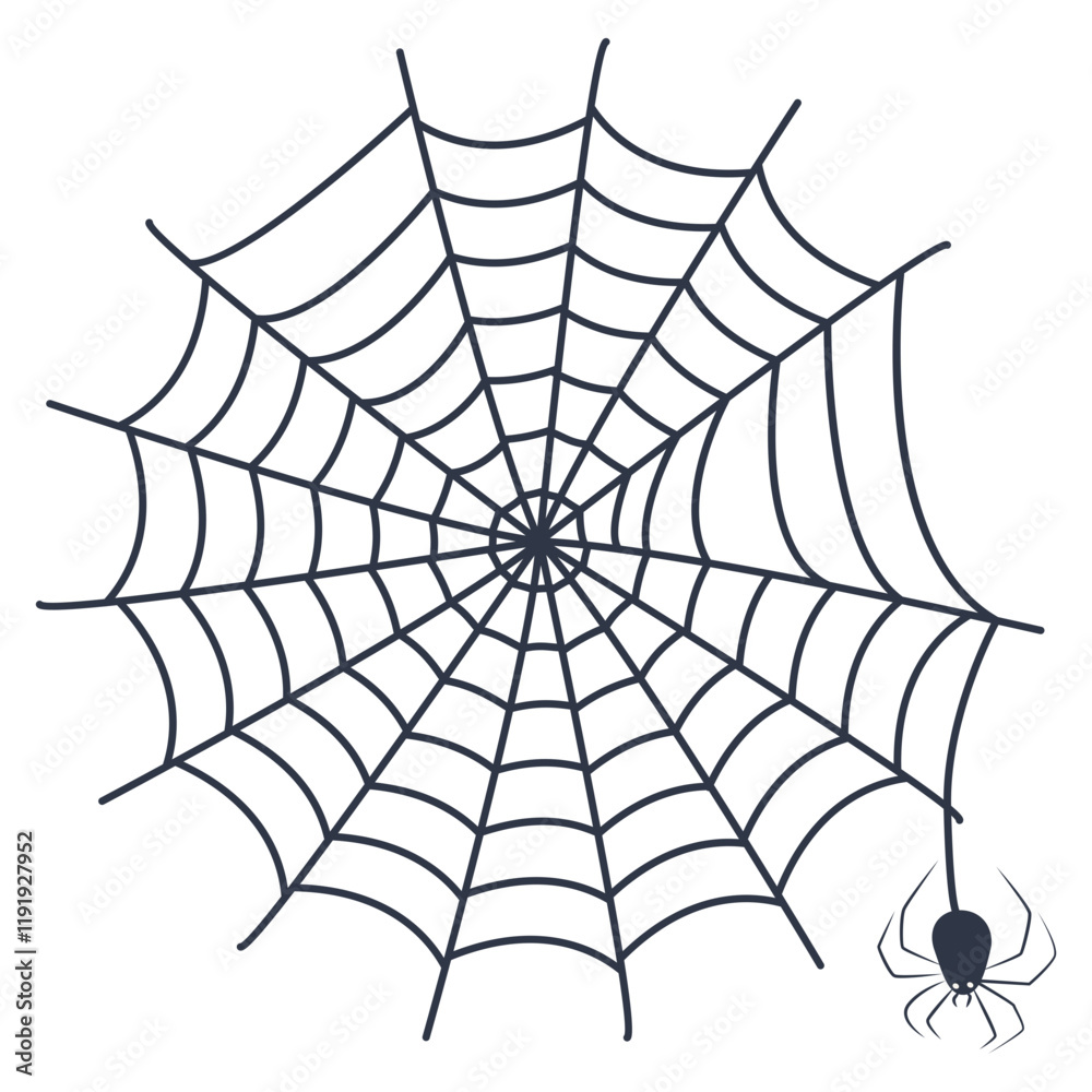 Fototapeta premium Black Spider Web Decoration. Isolated on White Background. Vector Illustration in Classic Design Pattern