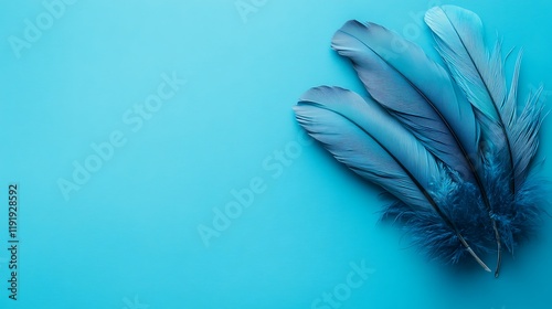 Blue feathers on blue background; design element, website banner photo