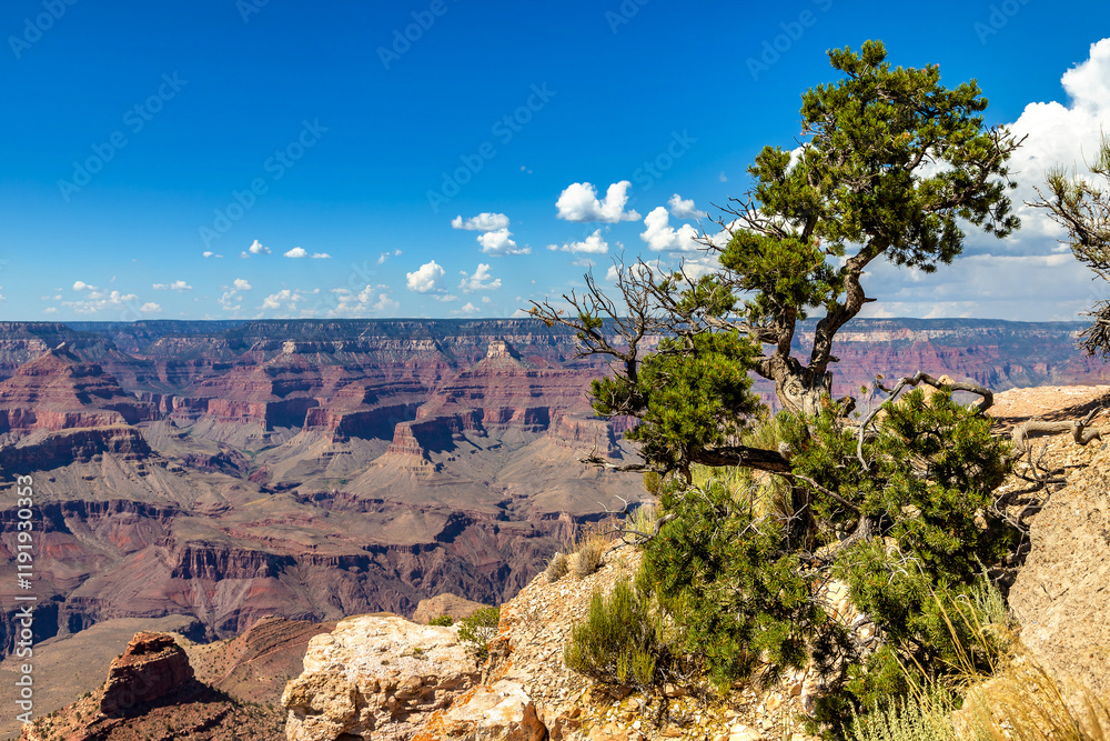 Grand Canyon National Park