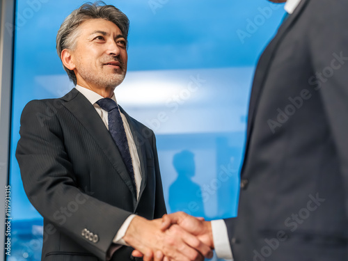 handshake, shaking hands, businessman, business, cooperation, global, international, businessperson, people, office, support, transaction, deal, teamwork, greeting, unity, gratitude, welcome, congratu photo