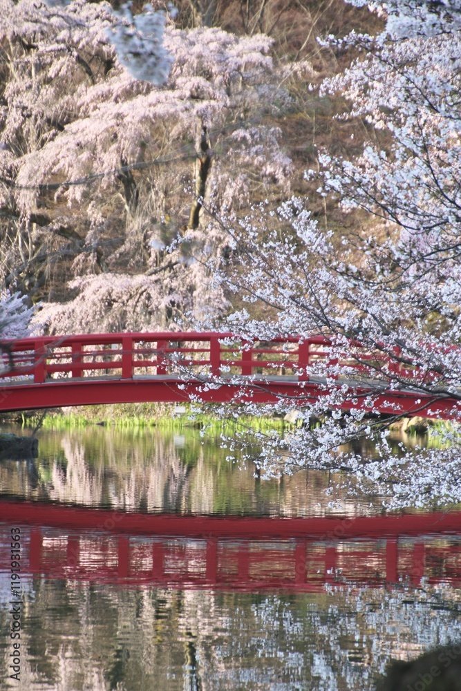 Fototapeta premium 臥竜公園・がりゅうこうえん（長野県・須坂市）