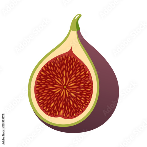 Illustration of a fig with vibrant colors and detailed texture.