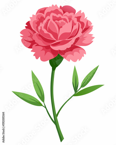 A vibrant pink carnation flower illustration on a white background.