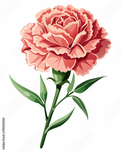 A detailed illustration of a pink carnation flower.
